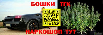 прущие грибы Севастополь